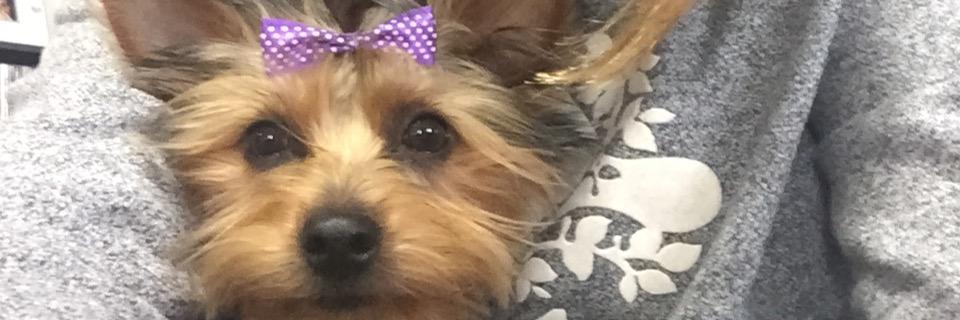 S_Raquel_L's profile banner image