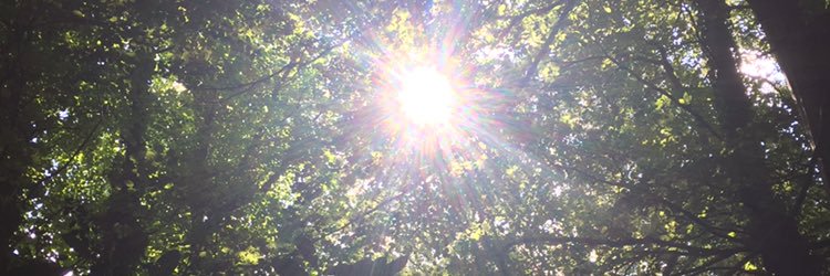 eemsocon's profile banner image