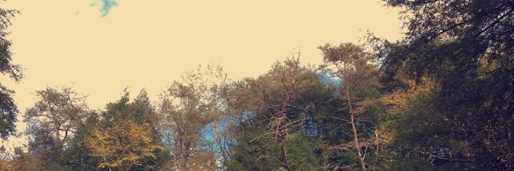 _torismart_'s profile banner image