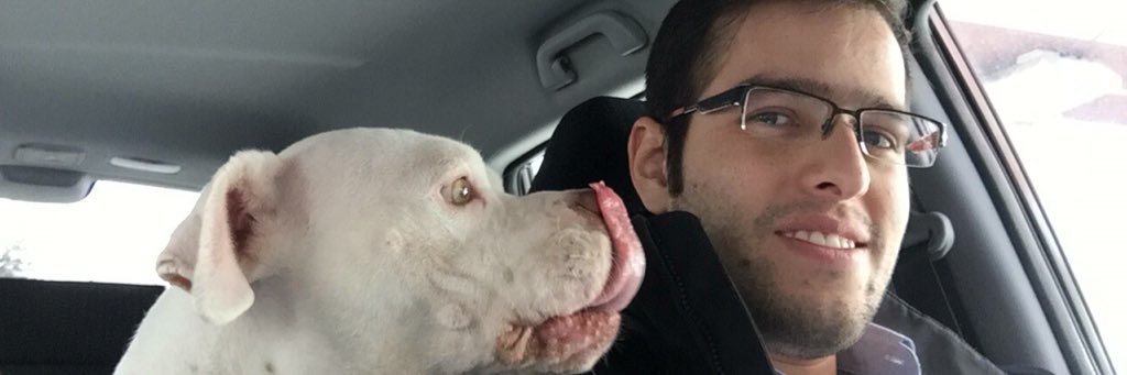 Robs Sibilla 🏳️‍🌈 banner