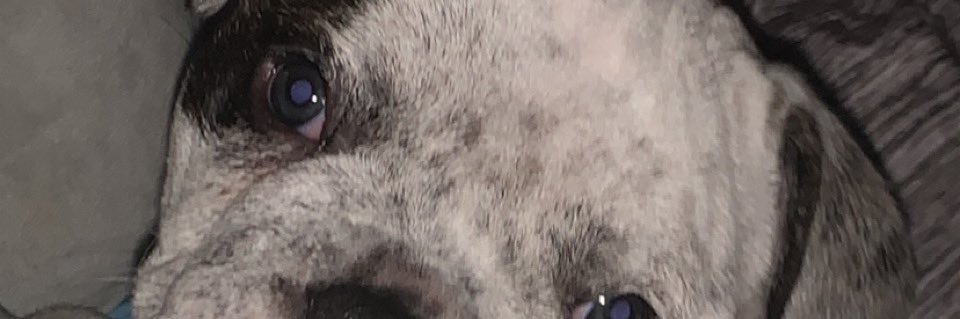 MacDaddyT_'s profile banner image