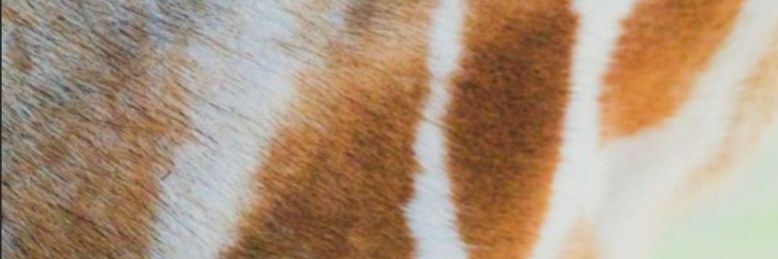 Judiit_Lopez's profile banner image