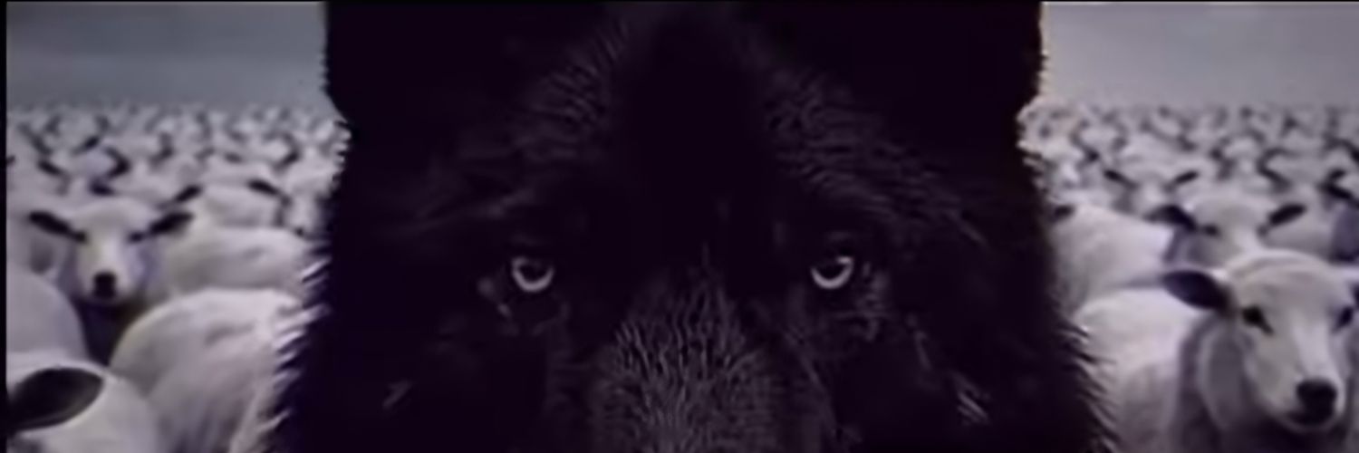 19cale83's profile banner image