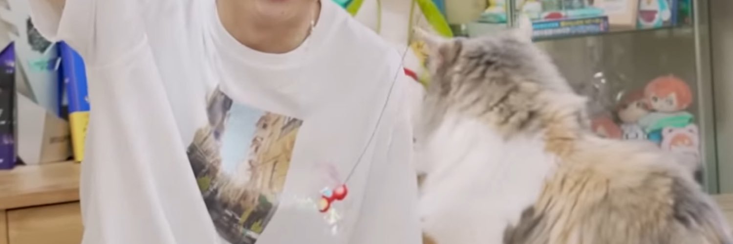 SKSGTm's profile banner image
