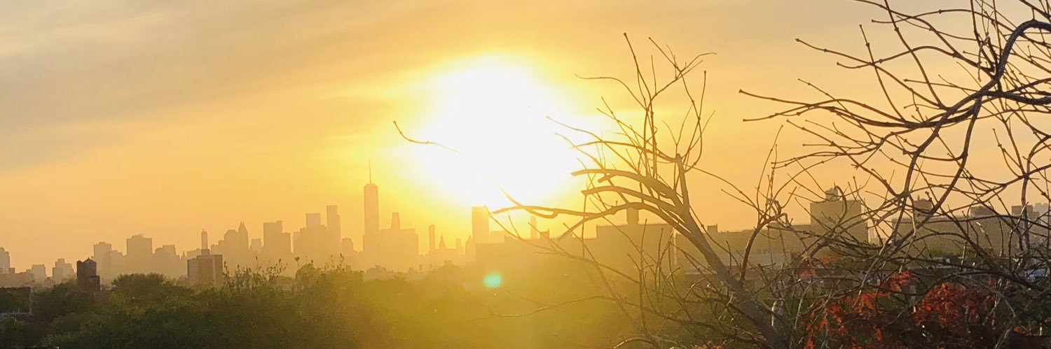 realalimalaF's profile banner image