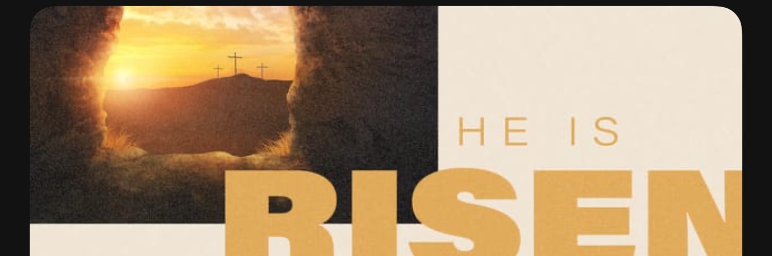 CStanniland's profile banner image