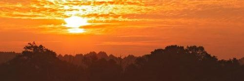 臻海之风 banner