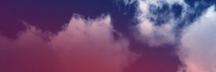 Evelyn de Souza banner