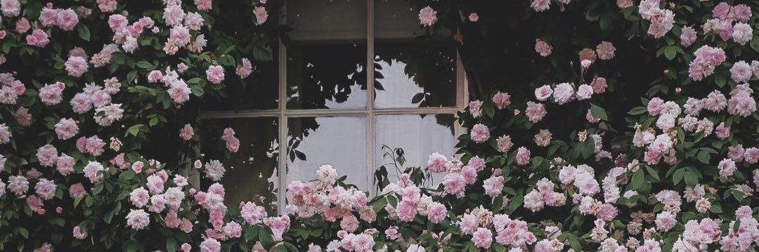 katkathy11's profile banner image