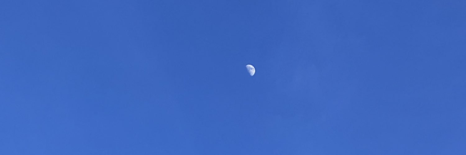 비🐈‍⬛ banner