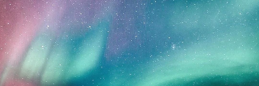 veronicashoukry's profile banner image