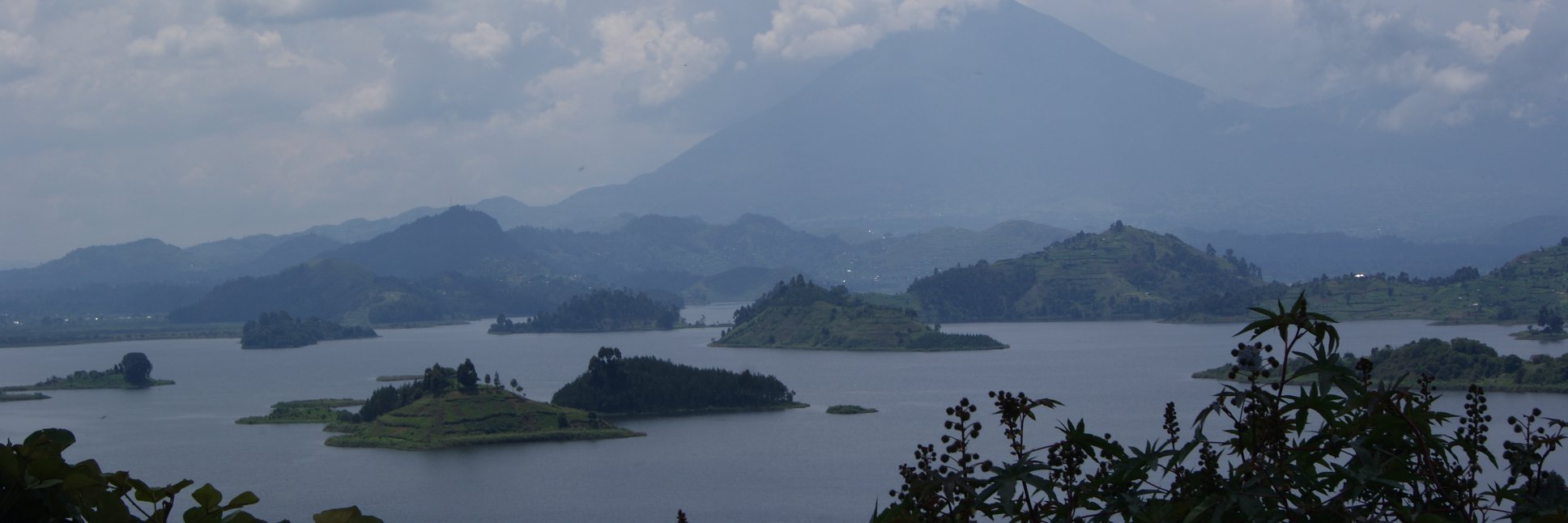 Attilio Pacifici banner