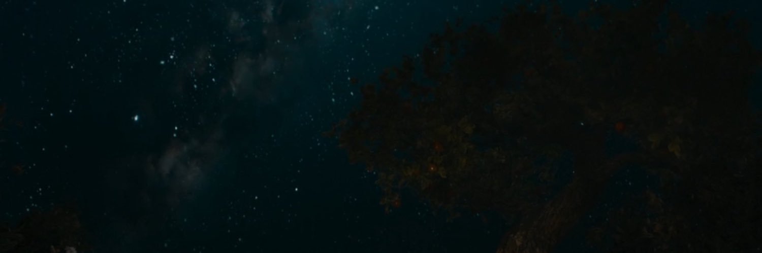 🐈‍⬛fia 💫🌿🖋️ banner