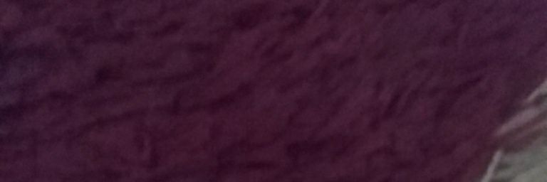 defi_manis's profile banner image