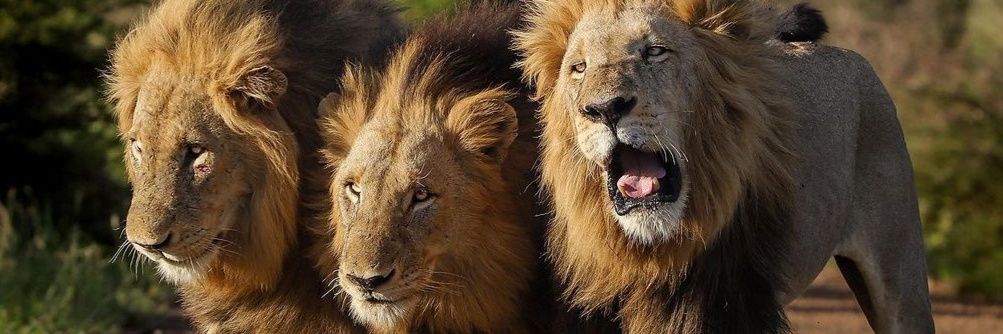 ❤️ God is Everything We are Nothing ❤️ banner