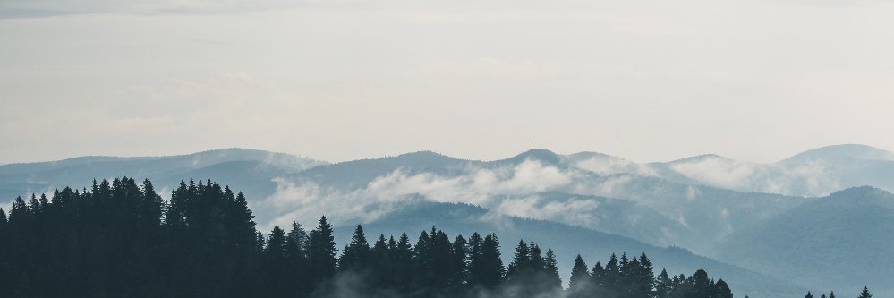 finalmonsoon's profile banner image