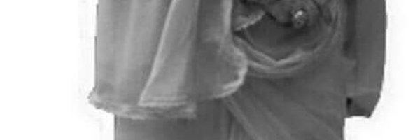 MonjuAlom1 Profile Banner