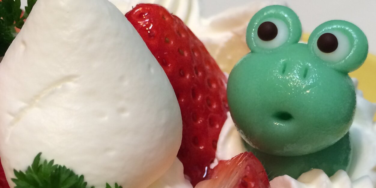 cocotora's profile banner image