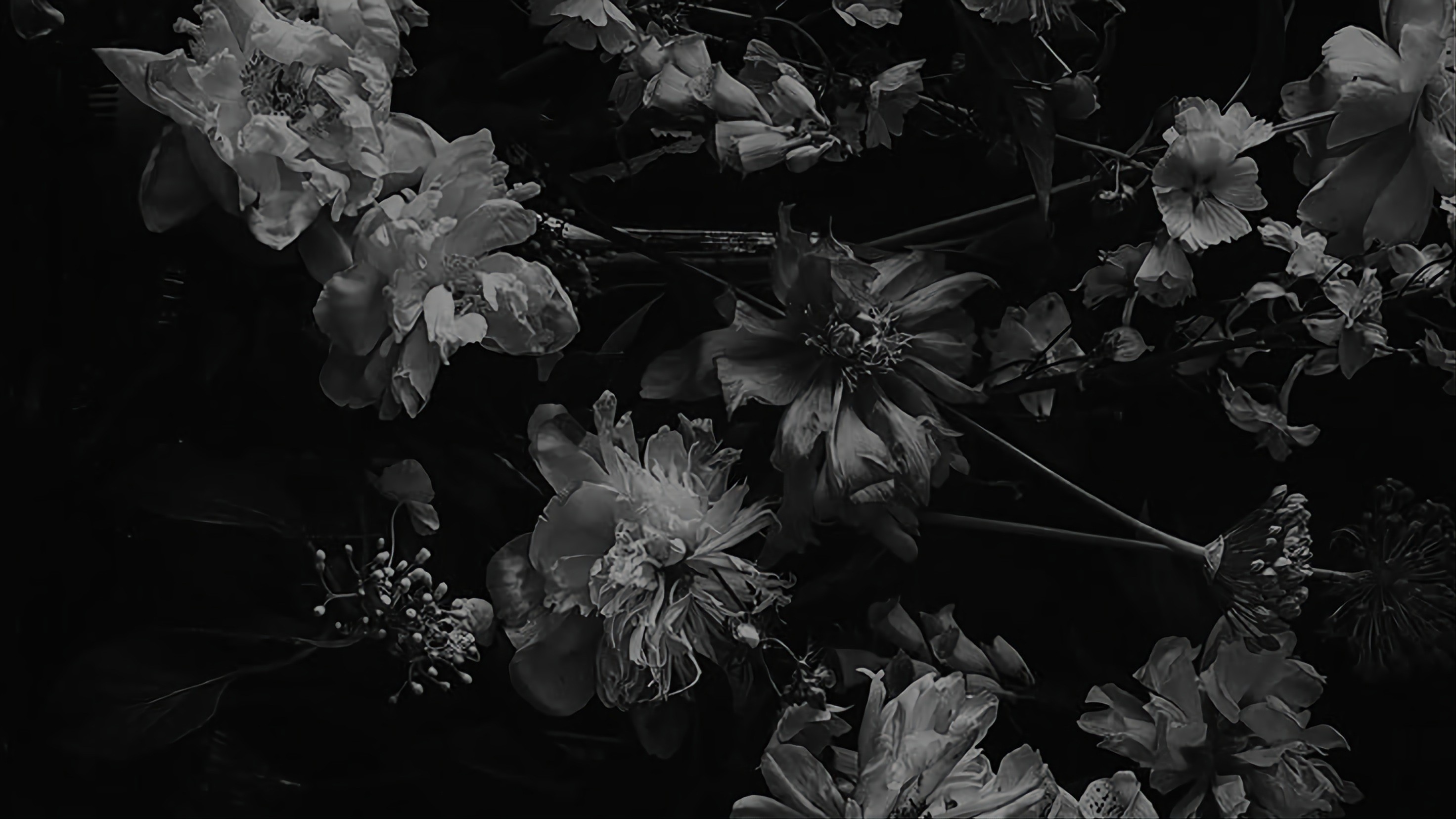 KENES ASMARATI. banner