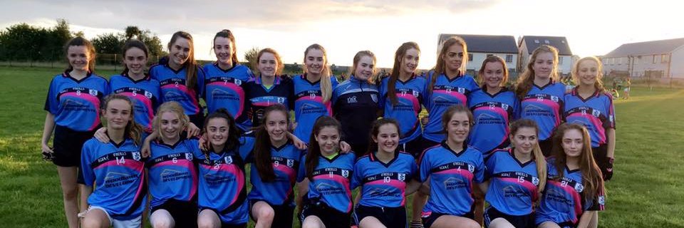 St. Anne's Ladies Gaelic Football Club banner