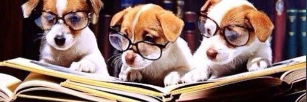 Professor Woofing III PHD banner