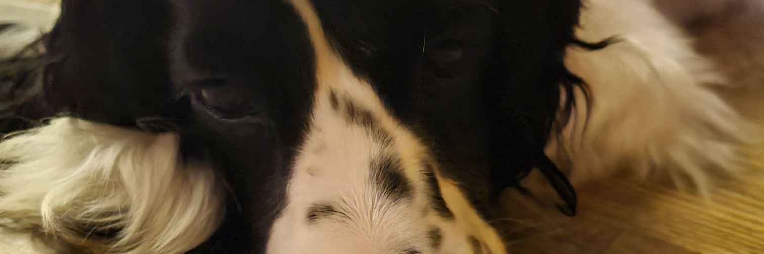 jfrecks30's profile banner image