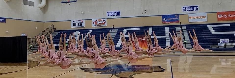 FHS Highsteppers & StarDancers banner