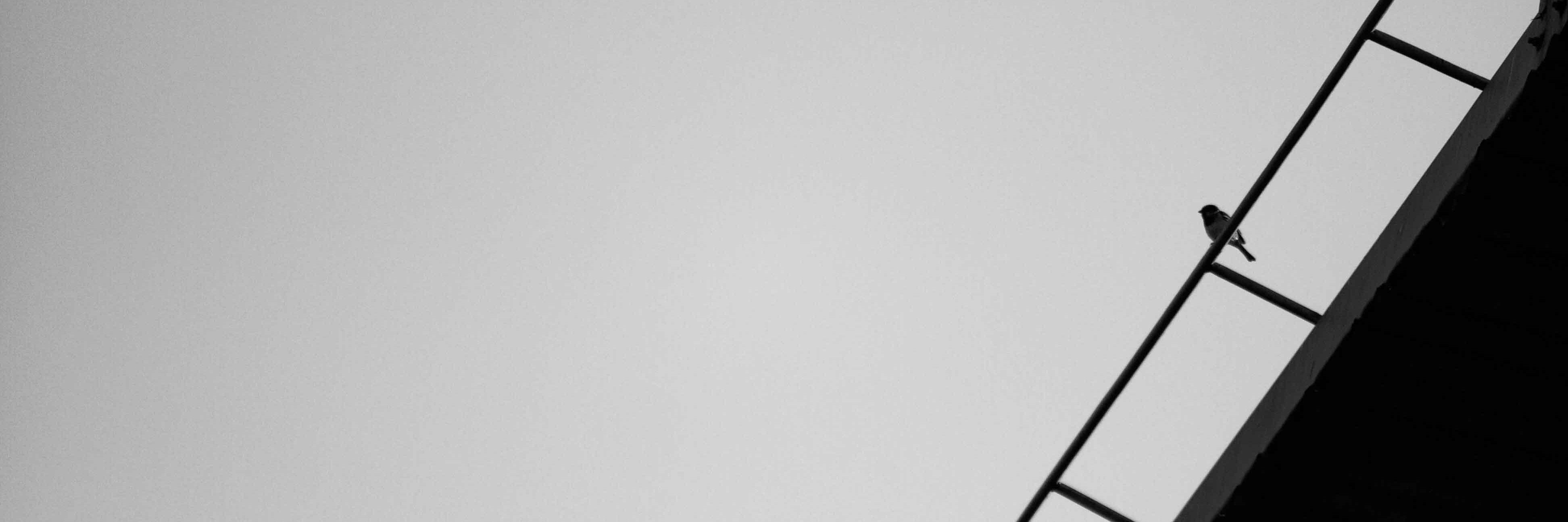 alejandra_cn's profile banner image