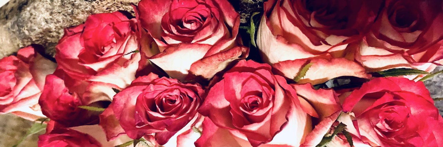 tia💋 banner