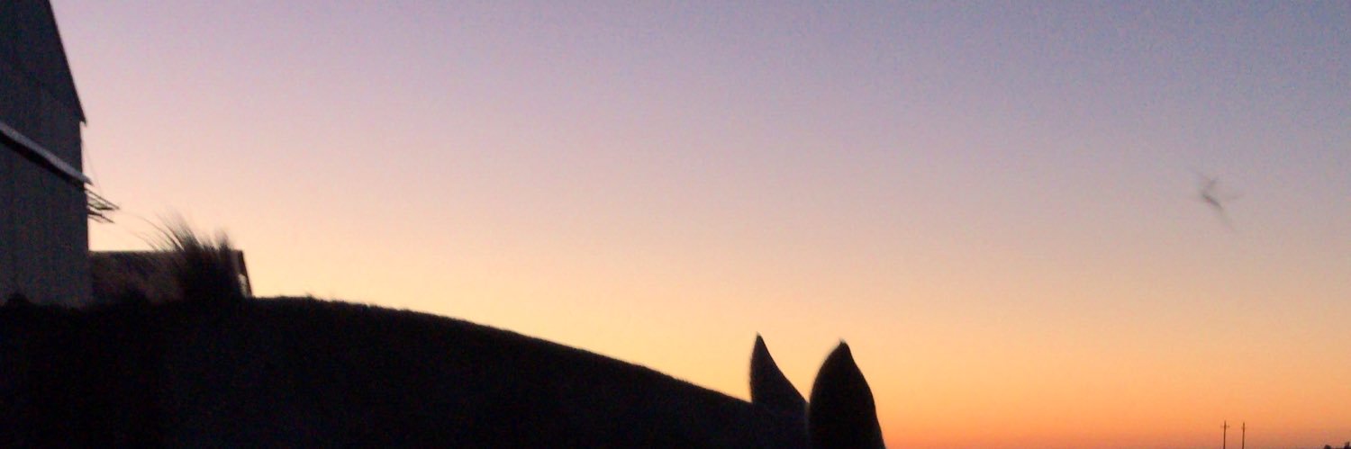 agusrod02's profile banner image