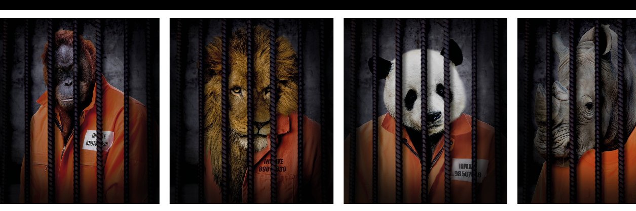 Free The Wild banner