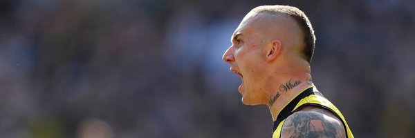 _tigertime Profile Banner