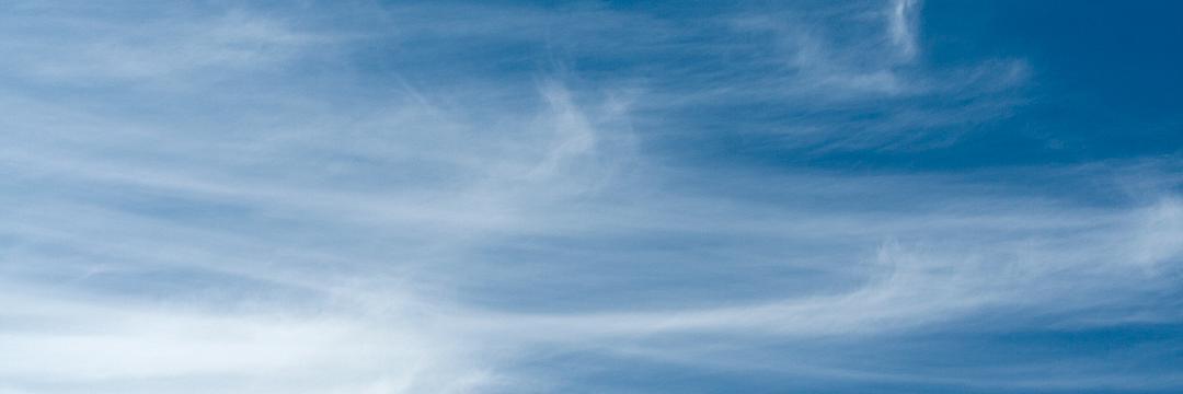 Slava Kolesnikov banner