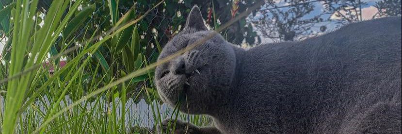 wannfaiz's profile banner image