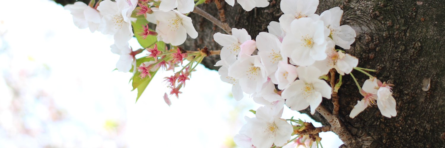 moondrop47mitu's profile banner image