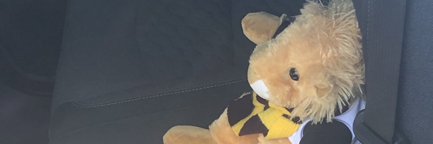 dovidobi's profile banner image