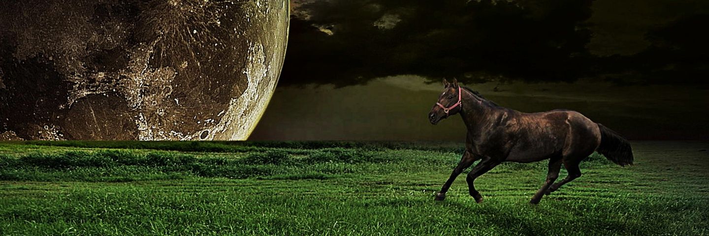 Laither_Saedran's profile banner image
