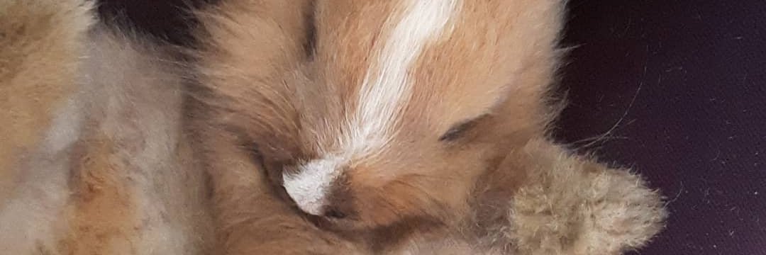 HSyz_'s profile banner image