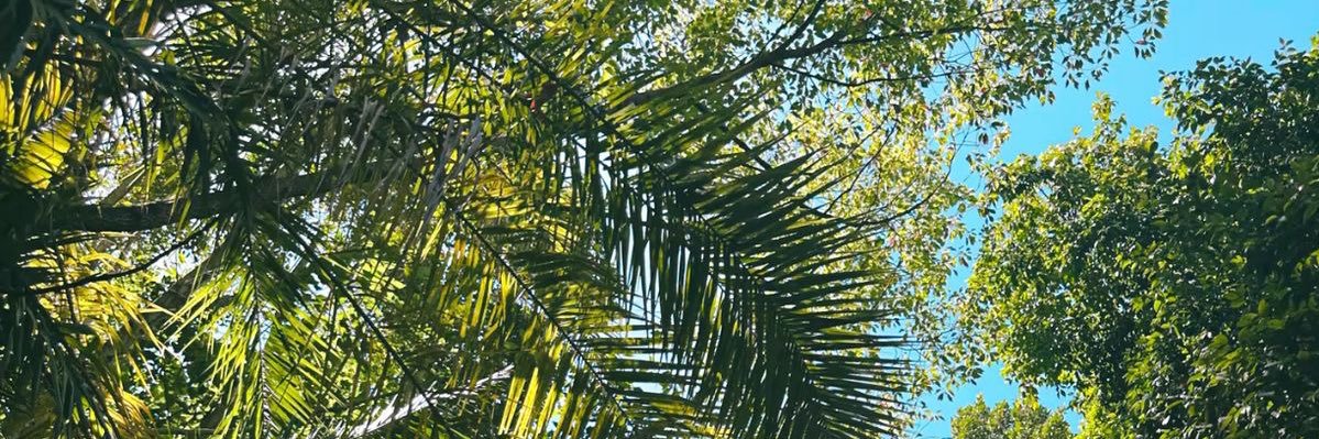 ramosdeluis's profile banner image