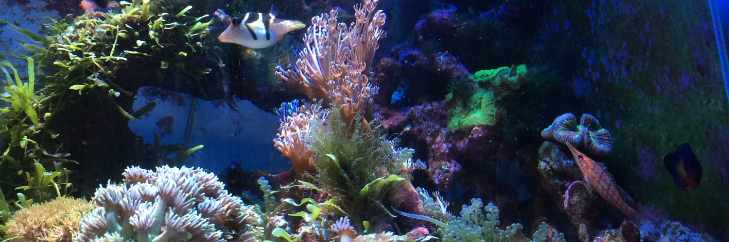 RAV4 マサ曹長/エリス banner