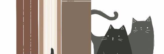 MitevaG's profile banner image