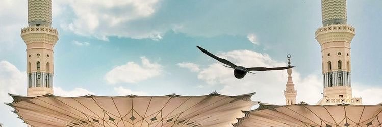 TaylorSwift_05's profile banner image