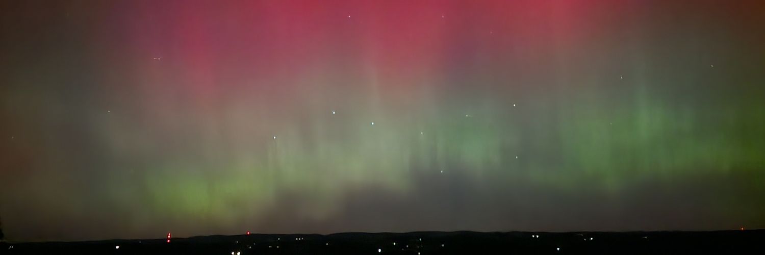 Colleen Buck 🥑 banner