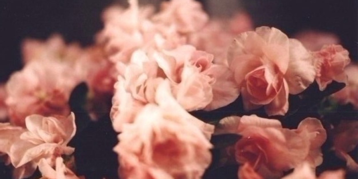 Mashysha_'s profile banner image