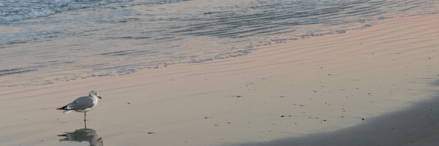 Christopher 🍀 banner