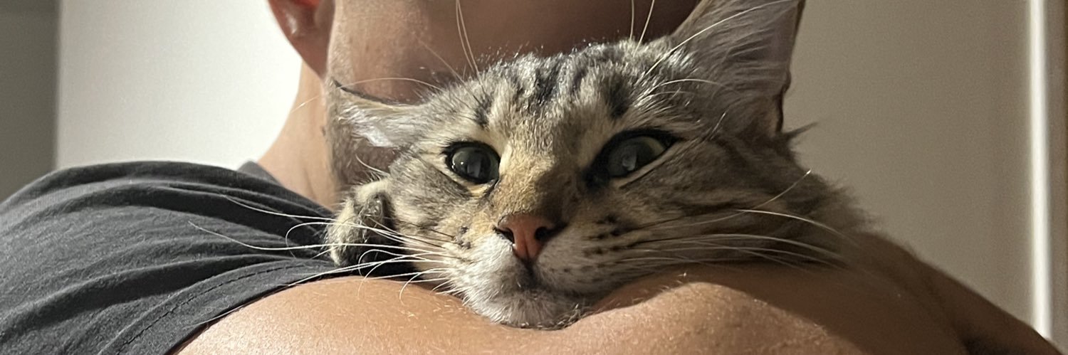 moi c’est deb banner