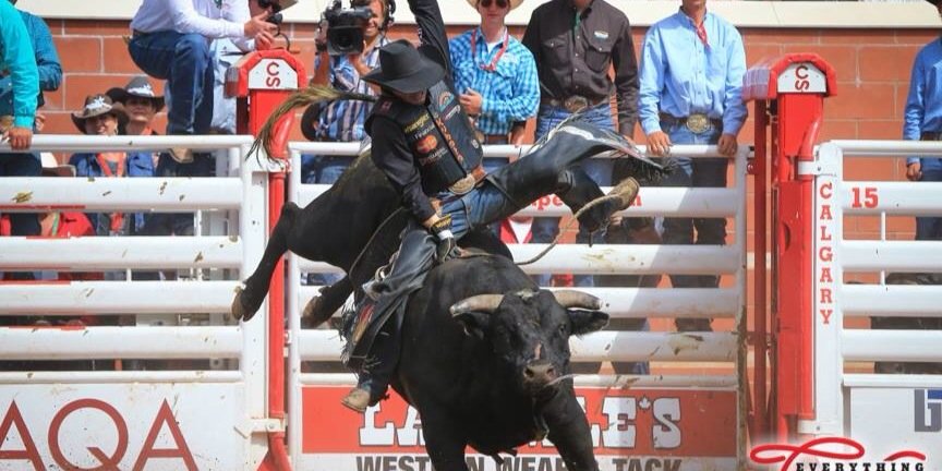 Scott Schiffner banner