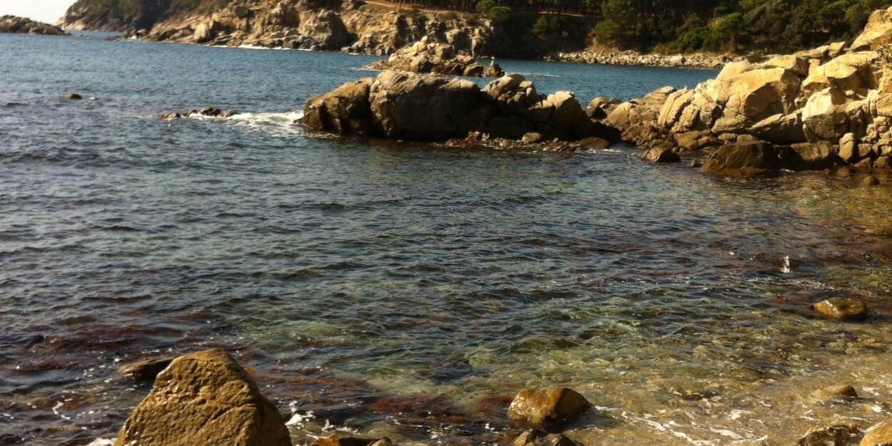 SolerAlberti's profile banner image