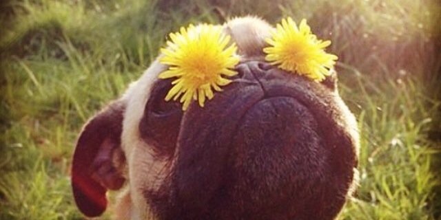 heyyitshay's profile banner image