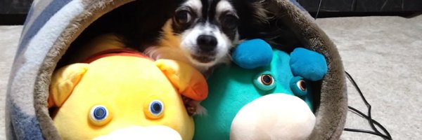tkyoukey Profile Banner